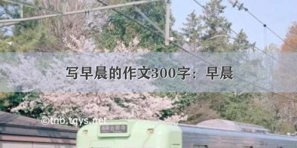 写早晨的作文300字：早晨