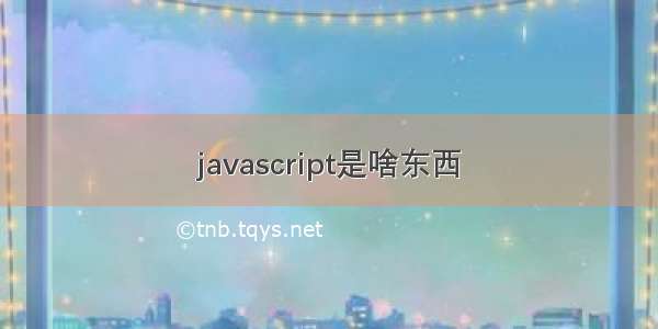 javascript是啥东西