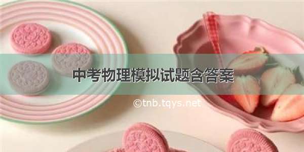 中考物理模拟试题含答案