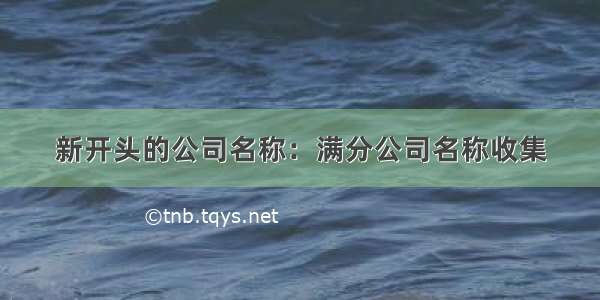 新开头的公司名称：满分公司名称收集