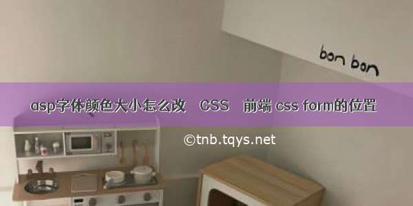 asp字体颜色大小怎么改 – CSS – 前端 css form的位置