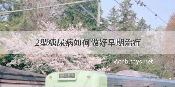 2型糖尿病如何做好早期治疗