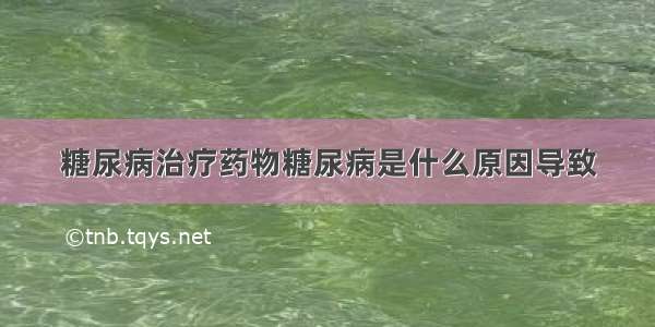 糖尿病治疗药物糖尿病是什么原因导致