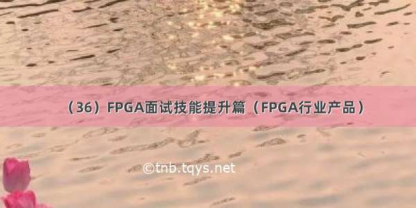 （36）FPGA面试技能提升篇（FPGA行业产品）