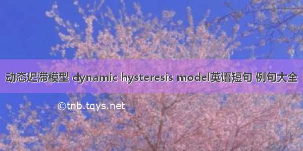 动态迟滞模型 dynamic hysteresis model英语短句 例句大全