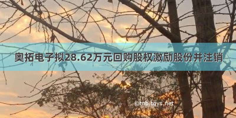 奥拓电子拟28.62万元回购股权激励股份并注销