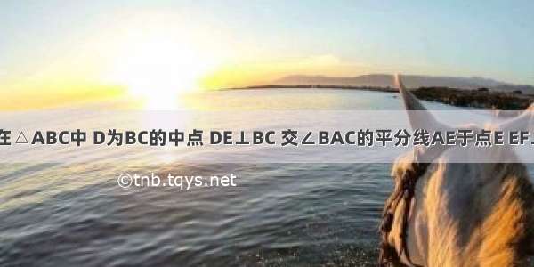 如图所示 在△ABC中 D为BC的中点 DE⊥BC 交∠BAC的平分线AE于点E EF⊥AB于点F