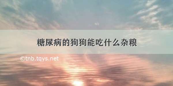 糖尿病的狗狗能吃什么杂粮