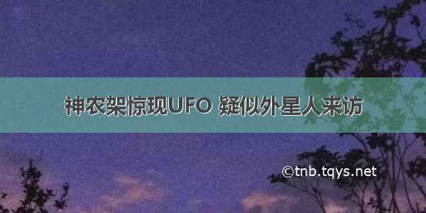 神农架惊现UFO 疑似外星人来访