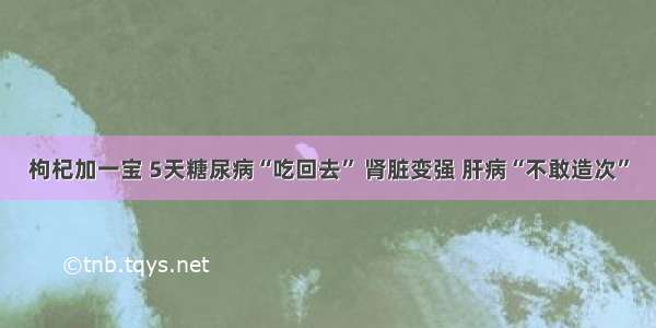 枸杞加一宝 5天糖尿病“吃回去” 肾脏变强 肝病“不敢造次”