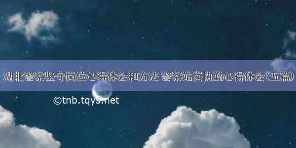 湖北警察坚守岗位心得体会和方法 警察站岗执勤心得体会(五篇)