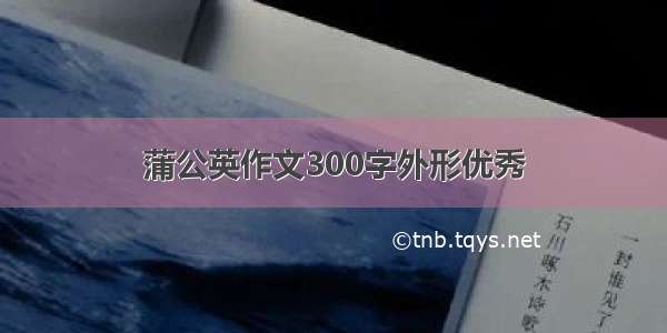 蒲公英作文300字外形优秀