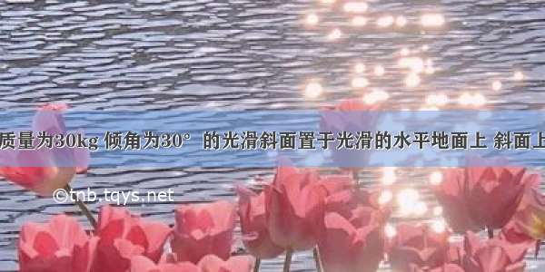 如图所示 质量为30kg 倾角为30°的光滑斜面置于光滑的水平地面上 斜面上固定一杆 