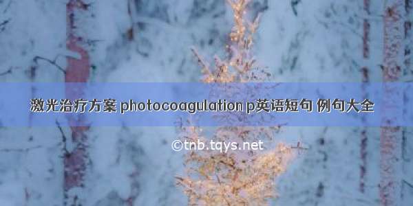 激光治疗方案 photocoagulation p英语短句 例句大全