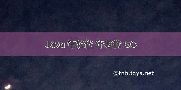 Java 年轻代 年老代 GC