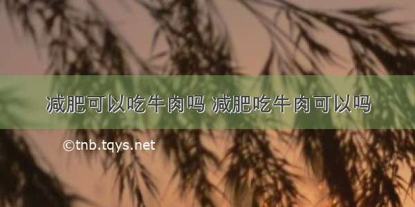 减肥可以吃牛肉吗 减肥吃牛肉可以吗