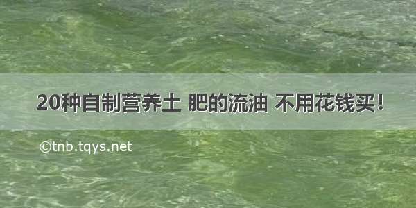 20种自制营养土 肥的流油 不用花钱买！