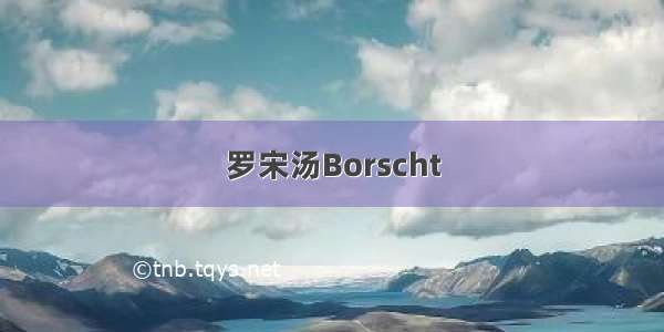 罗宋汤Borscht