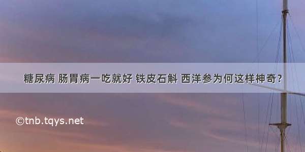 糖尿病 肠胃病一吃就好 铁皮石斛 西洋参为何这样神奇？