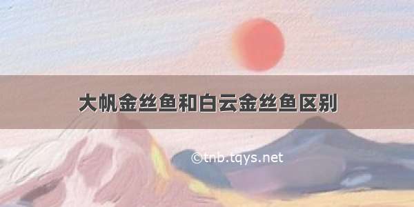 大帆金丝鱼和白云金丝鱼区别