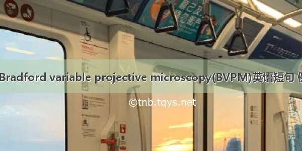 布氏镜 Bradford variable projective microscopy(BVPM)英语短句 例句大全