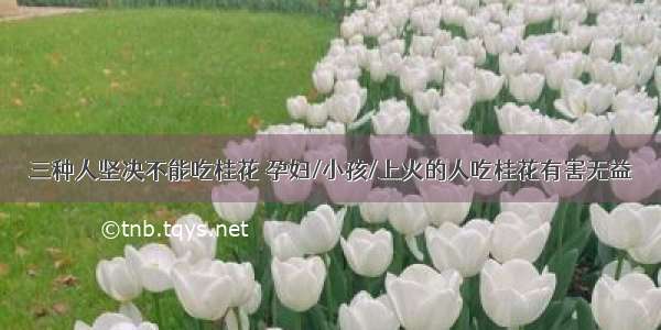 三种人坚决不能吃桂花 孕妇/小孩/上火的人吃桂花有害无益