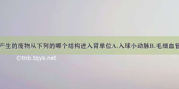 人体代谢产生的废物从下列的哪个结构进入肾单位A.入球小动脉B.毛细血管C.肾小囊