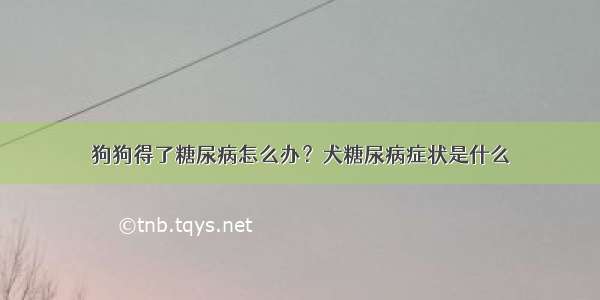 狗狗得了糖尿病怎么办？犬糖尿病症状是什么