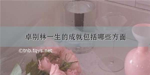 卓别林一生的成就包括哪些方面