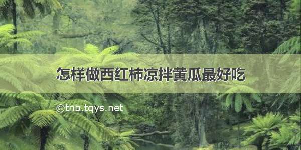 怎样做西红柿凉拌黄瓜最好吃