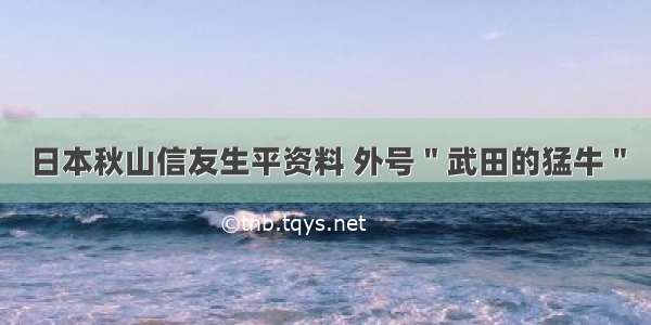 日本秋山信友生平资料 外号＂武田的猛牛＂