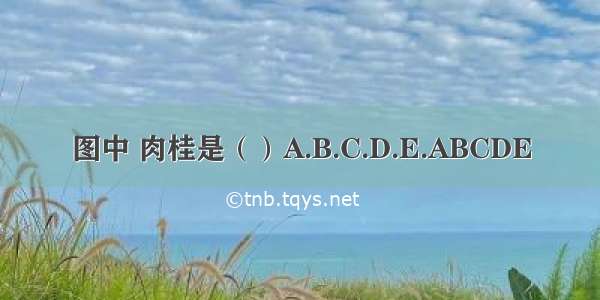 图中 肉桂是（）A.B.C.D.E.ABCDE