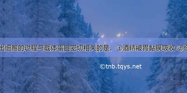 下列物质进出细胞的过程与载体蛋白密切相关的是。①酒精被胃黏膜吸收 ②细胞与外界进