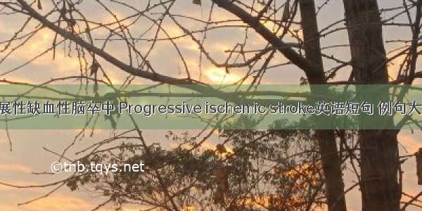 进展性缺血性脑卒中 Progressive ischemic stroke英语短句 例句大全