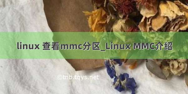 linux 查看mmc分区_Linux MMC介绍