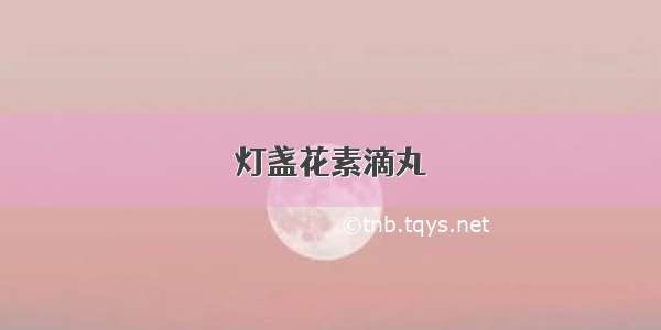 灯盏花素滴丸