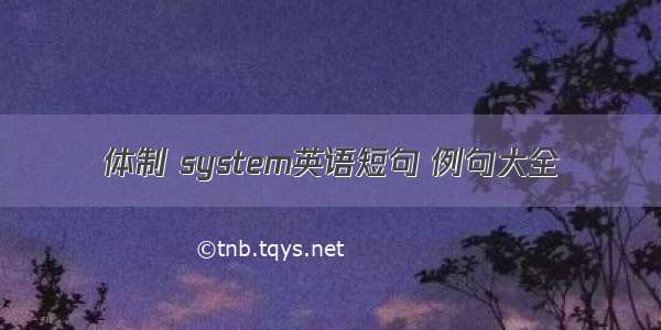 体制 system英语短句 例句大全