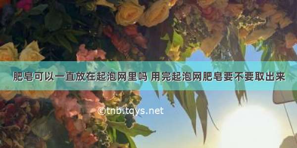 肥皂可以一直放在起泡网里吗 用完起泡网肥皂要不要取出来