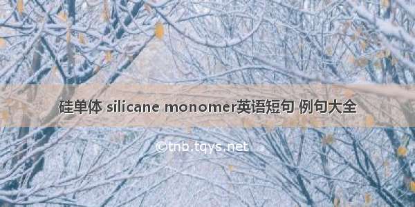 硅单体 silicane monomer英语短句 例句大全