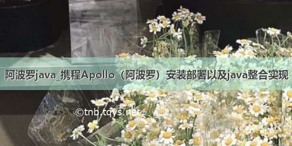 阿波罗java_携程Apollo（阿波罗）安装部署以及java整合实现