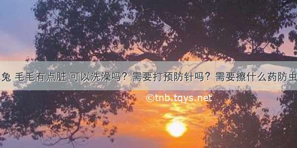 捡了只大兔兔 毛毛有点脏 可以洗澡吗？需要打预防针吗？需要擦什么药防虫呢？养兔子