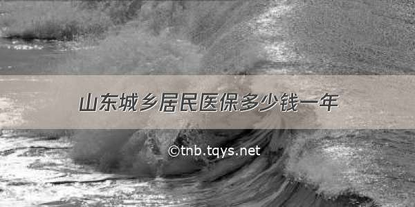 山东城乡居民医保多少钱一年