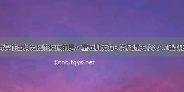 属于器官非特异性自身免疫性疾病的是A.重症肌无力B.类风湿关节炎C.1型糖尿病D.甲亢E.