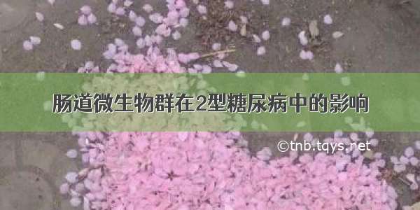 肠道微生物群在2型糖尿病中的影响