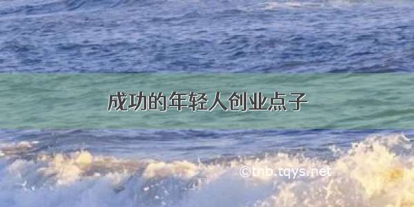 成功的年轻人创业点子