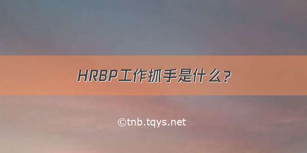 HRBP工作抓手是什么？