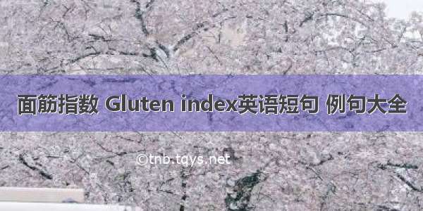 面筋指数 Gluten index英语短句 例句大全