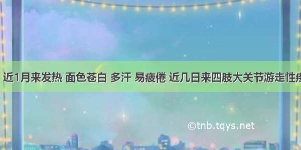 患儿4岁 近1月来发热 面色苍白 多汗 易疲倦 近几日来四肢大关节游走性疼痛 为确