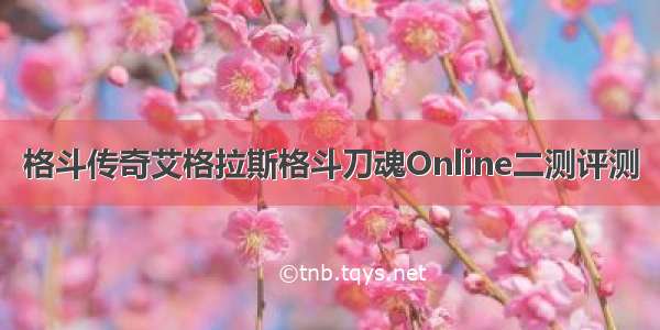 格斗传奇艾格拉斯格斗刀魂Online二测评测