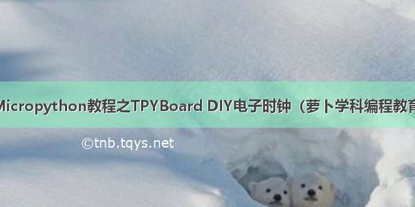 Micropython教程之TPYBoard DIY电子时钟（萝卜学科编程教育）